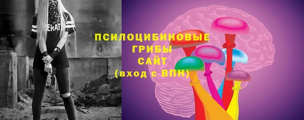 а пвп мука Шадринск
