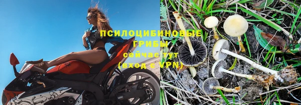 хмурый Заводоуковск