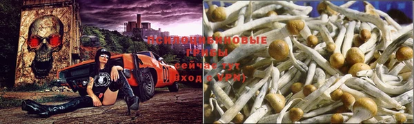 ешки Заволжск