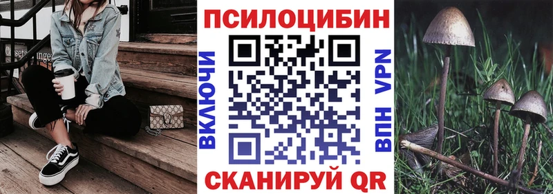 Псилоцибиновые грибы мицелий  купить  цена  Сковородино 